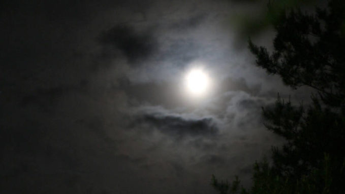 evening-moon-sky-fear-27204.jpg